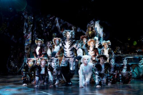 cats-foto-02-credit-alessandro-pinna-scaled