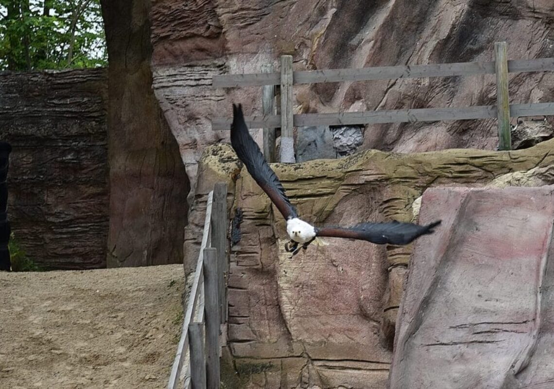 karl-may-spiele-bad-segeberg-die-ersten-szenenfotos-aus-winnetou-ii-ribanna-old-firehand-(30)