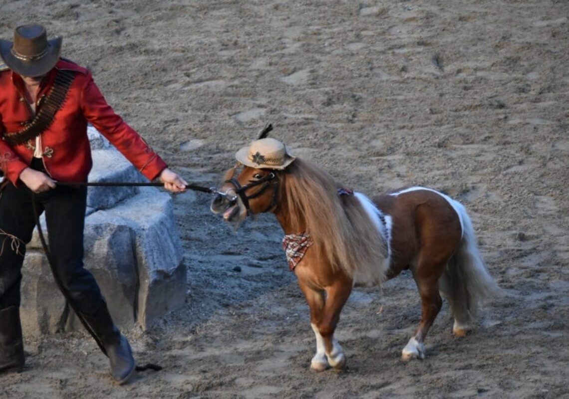 karl-may-spiele-bad-segeberg-winnetou-i-die-schoensten-fotos-der-premiere-(30)