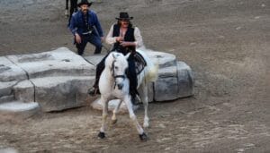 Karl-May-Spiele 2024: Emotionen, Spannung & grandiose Darsteller: SO großartig war die Premiere von „Winnetou II“ &raquo; Winnetou II